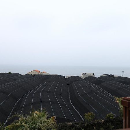 Haevichi Pension Seogwipo Exterior photo